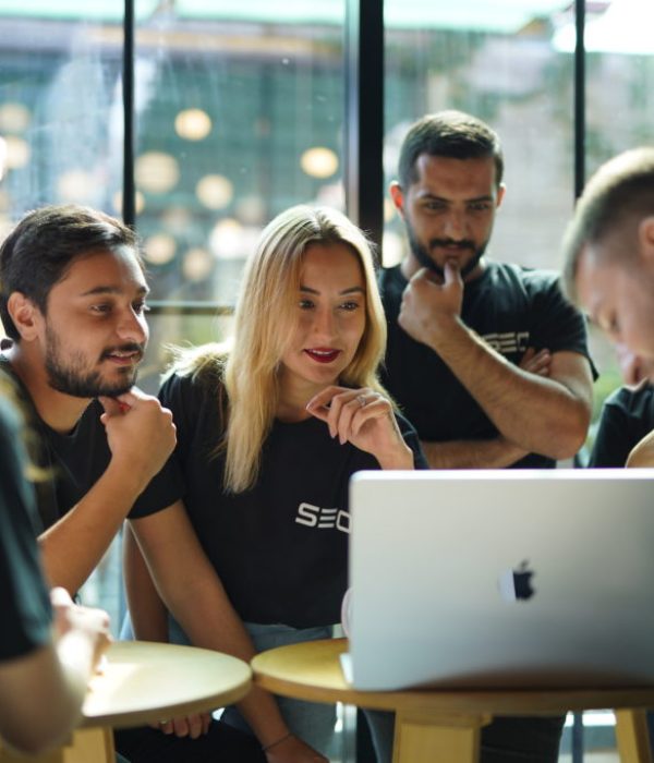SEO Agentur Wallis
